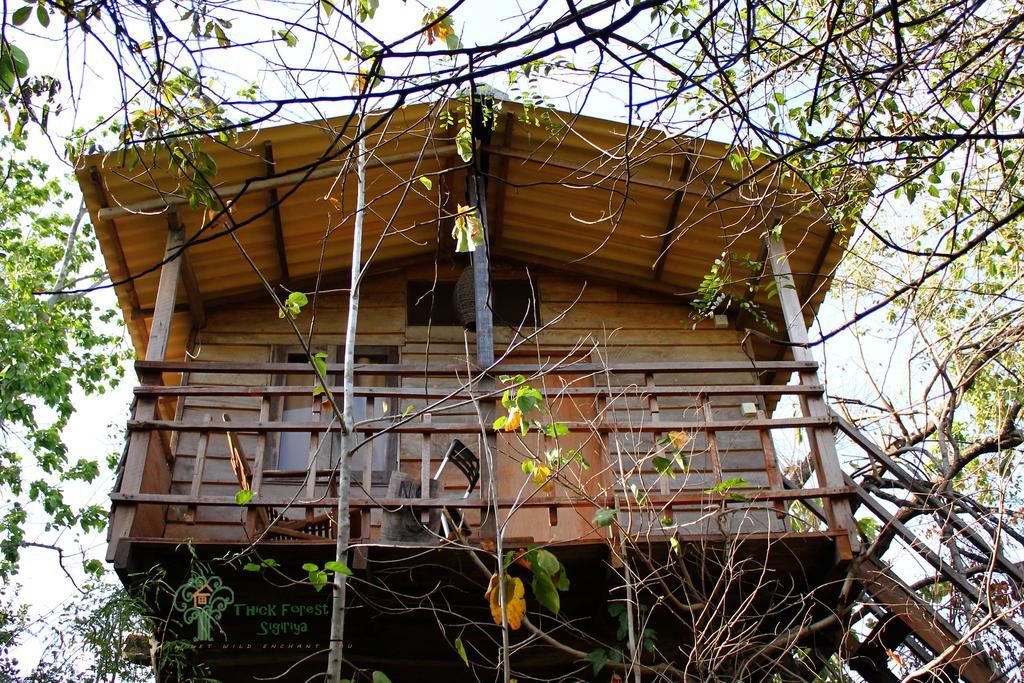 The Thick Forest Villa Sigiriya Kamer foto