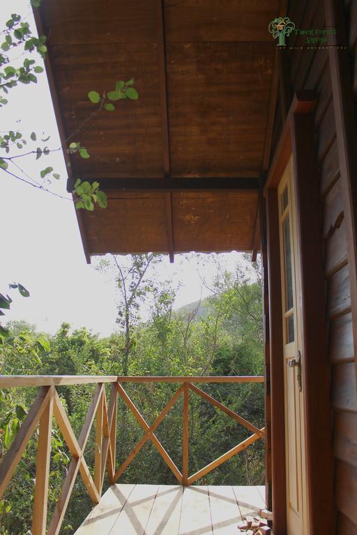 The Thick Forest Villa Sigiriya Kamer foto