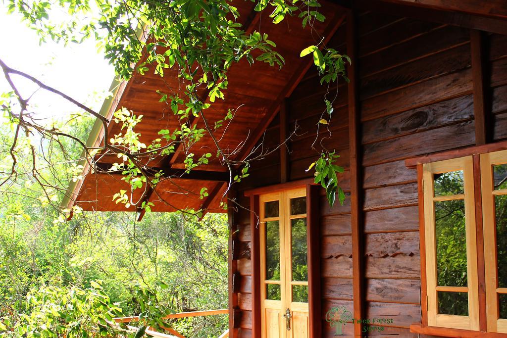 The Thick Forest Villa Sigiriya Kamer foto