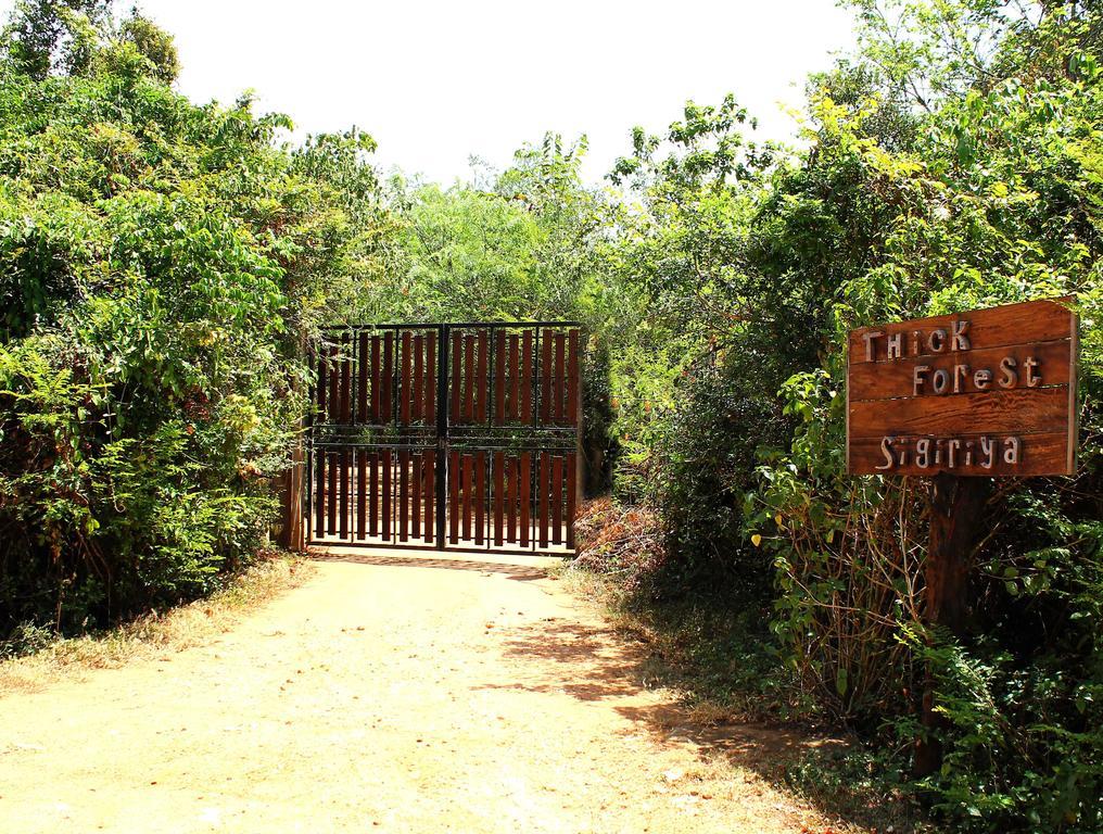 The Thick Forest Sigiriya Buitenkant foto