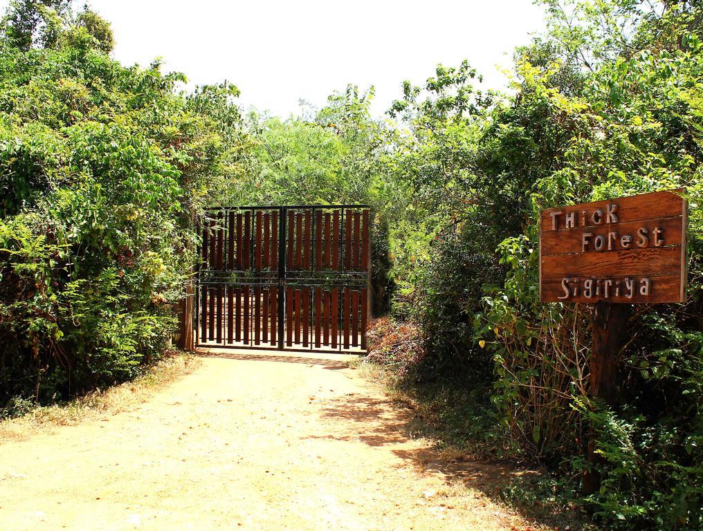 The Thick Forest Villa Sigiriya Buitenkant foto