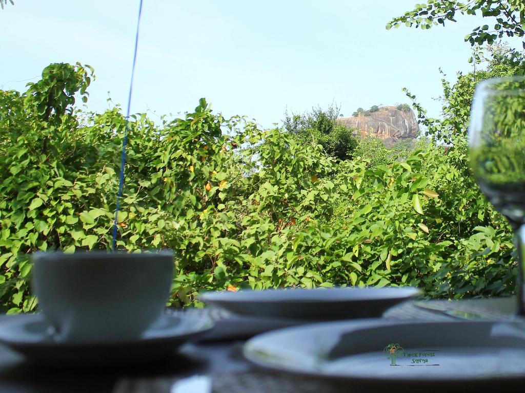 The Thick Forest Villa Sigiriya Buitenkant foto