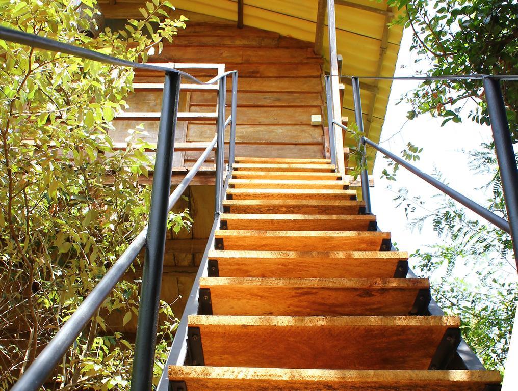 The Thick Forest Sigiriya Kamer foto