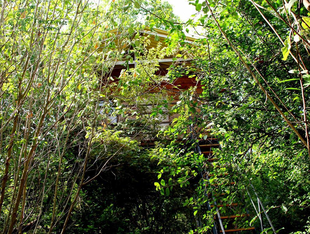 The Thick Forest Villa Sigiriya Kamer foto