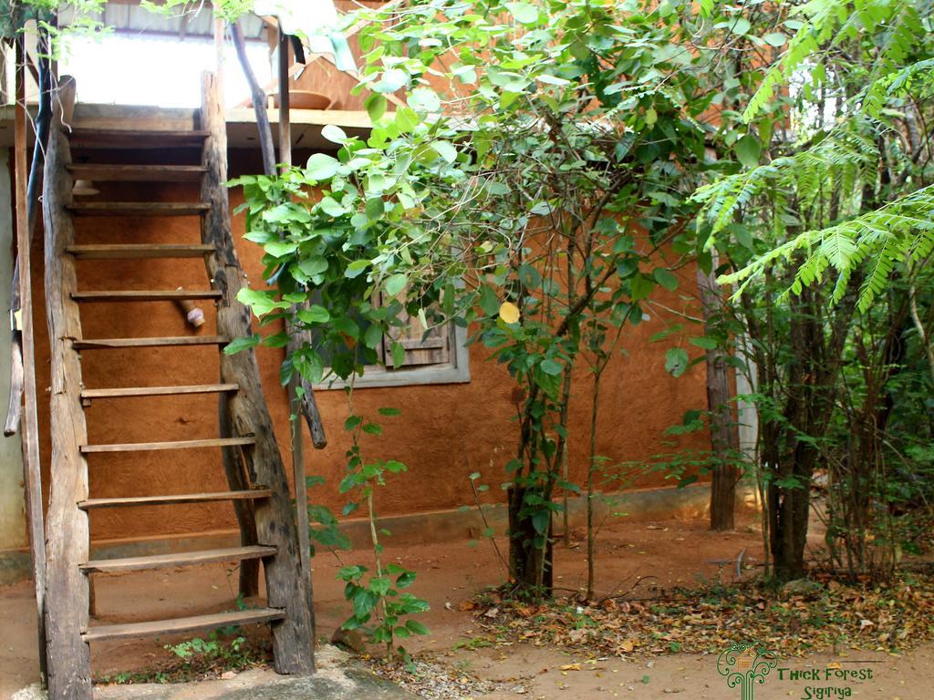 The Thick Forest Villa Sigiriya Buitenkant foto