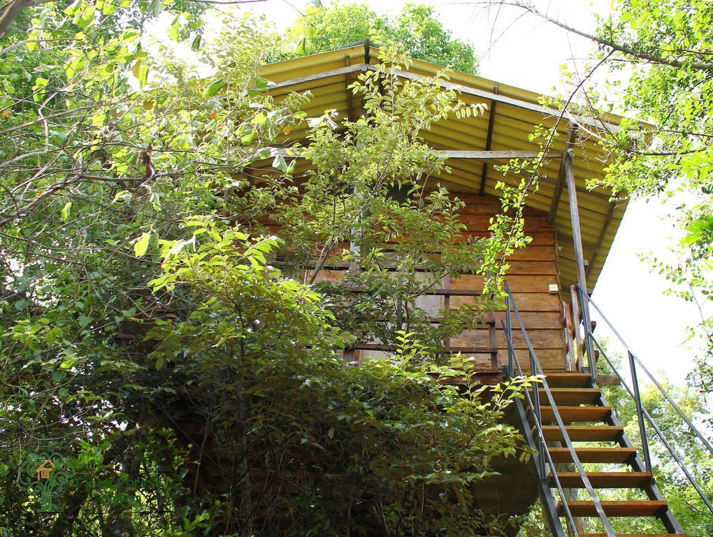 The Thick Forest Villa Sigiriya Kamer foto