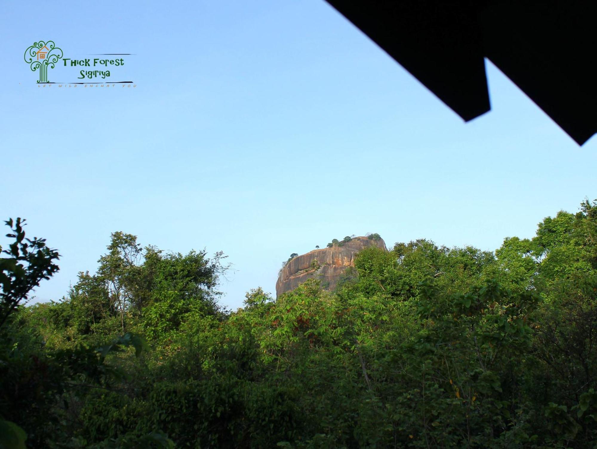 The Thick Forest Sigiriya Kamer foto