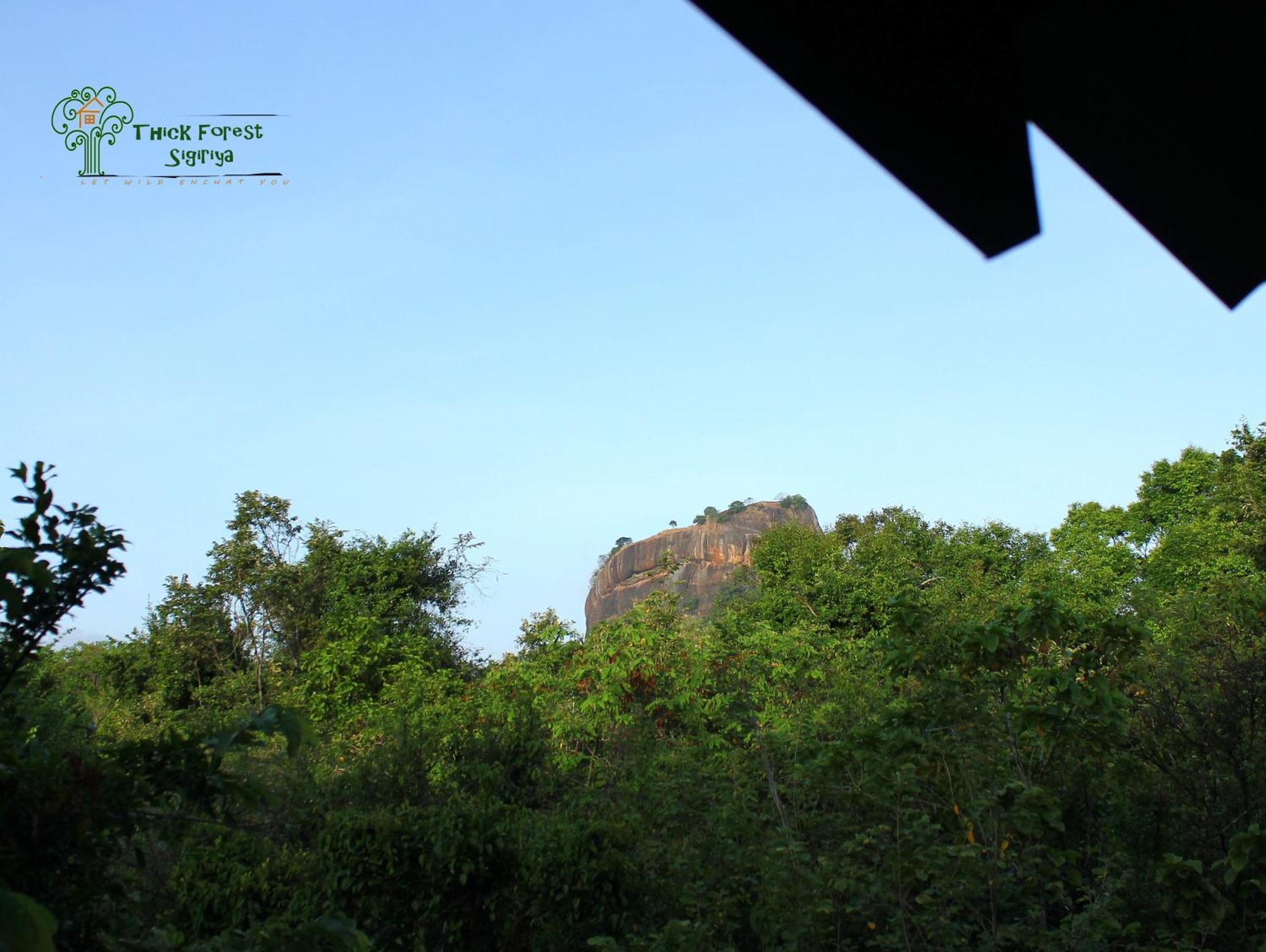 The Thick Forest Villa Sigiriya Kamer foto