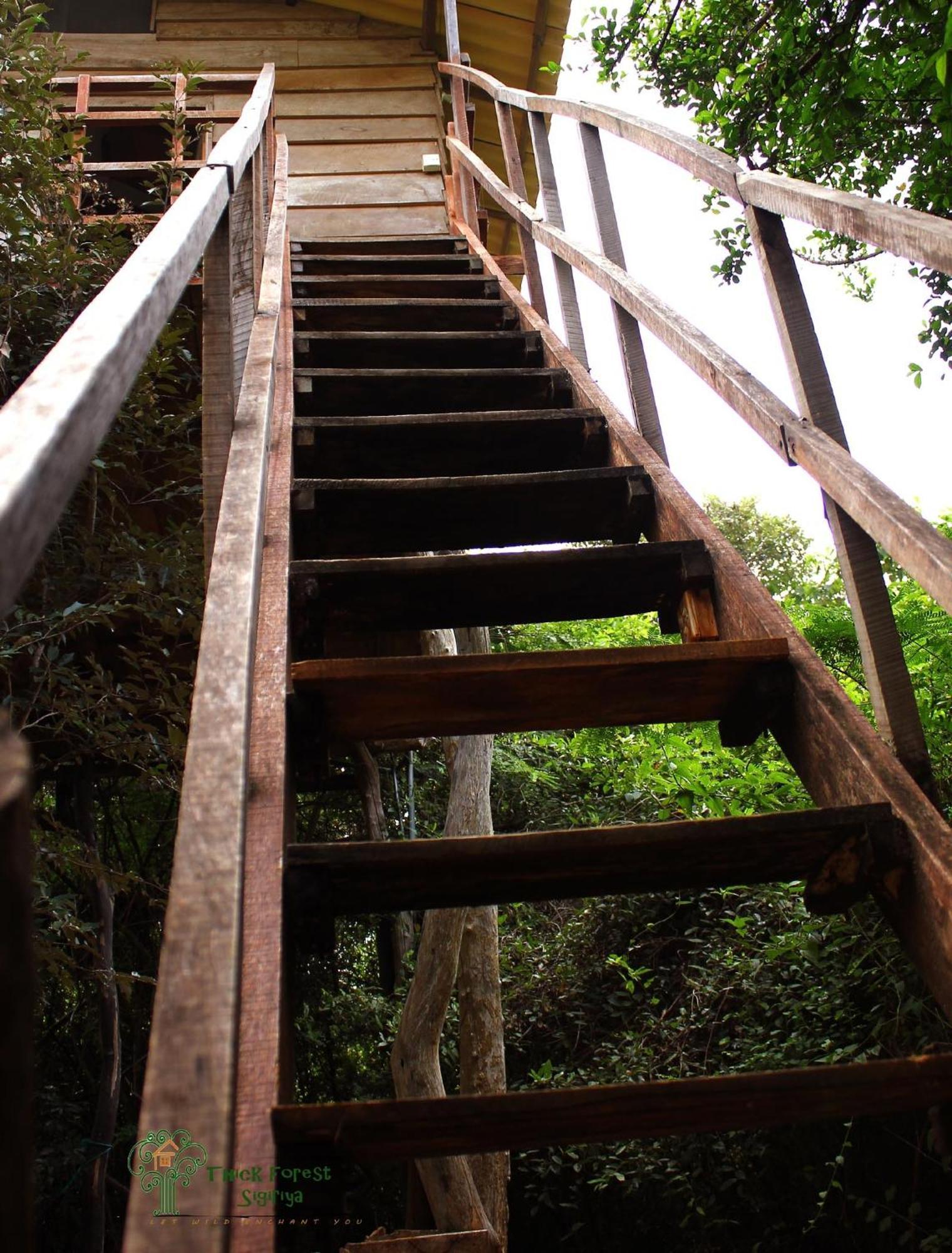 The Thick Forest Villa Sigiriya Kamer foto