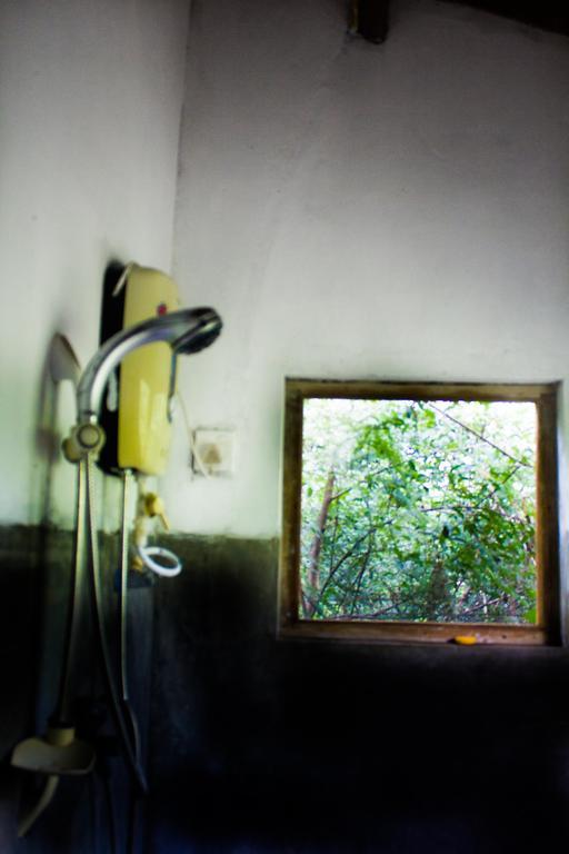 The Thick Forest Sigiriya Kamer foto