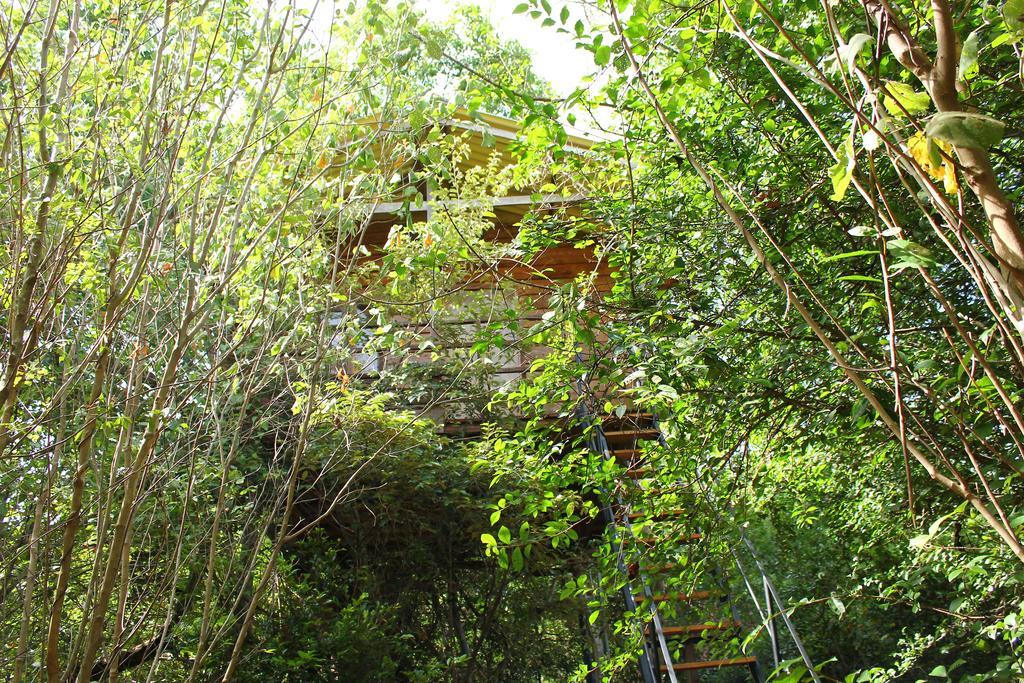 The Thick Forest Villa Sigiriya Kamer foto