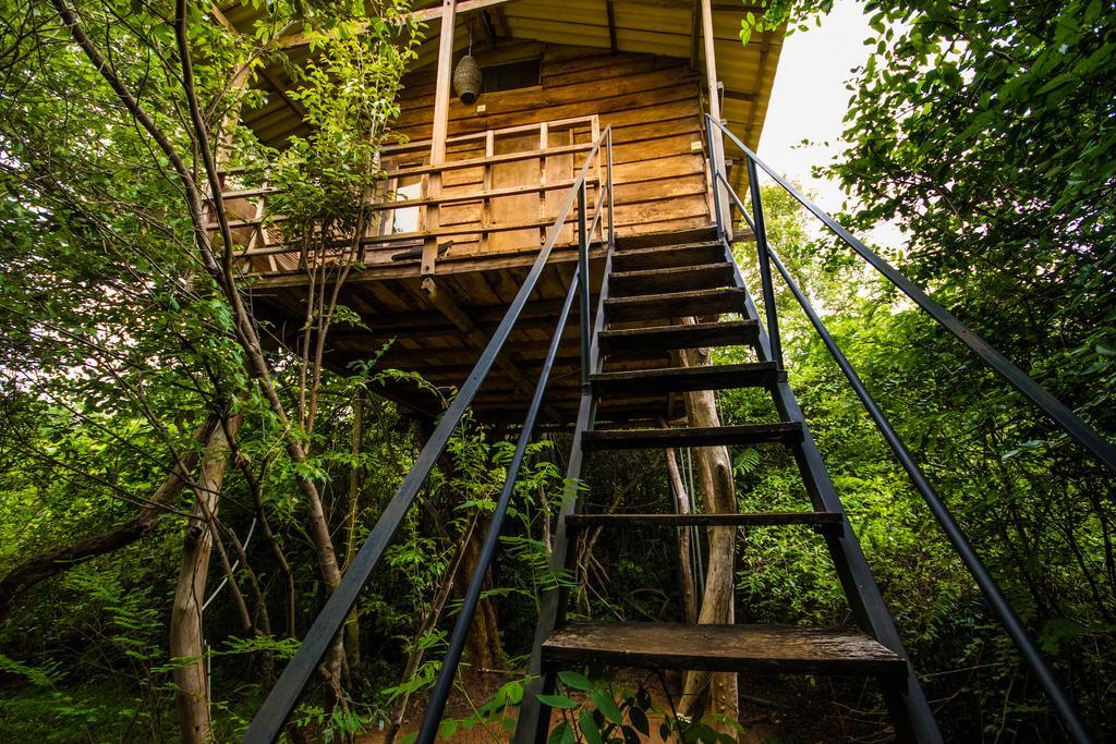 The Thick Forest Villa Sigiriya Buitenkant foto