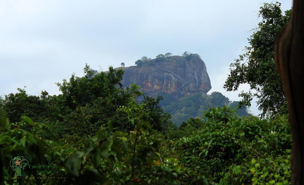 The Thick Forest Sigiriya Buitenkant foto