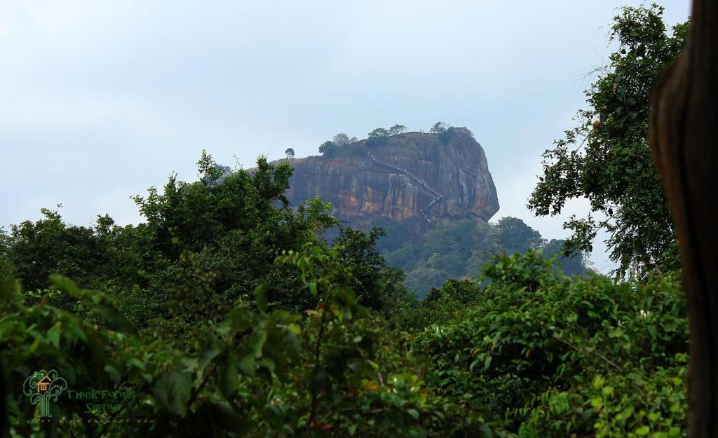 The Thick Forest Villa Sigiriya Buitenkant foto